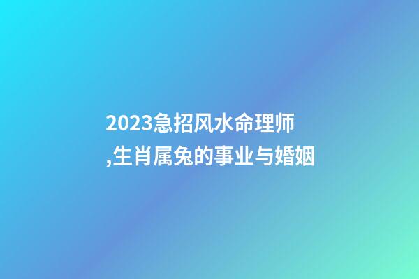2023急招风水命理师,生肖属兔的事业与婚姻-第1张-观点-玄机派