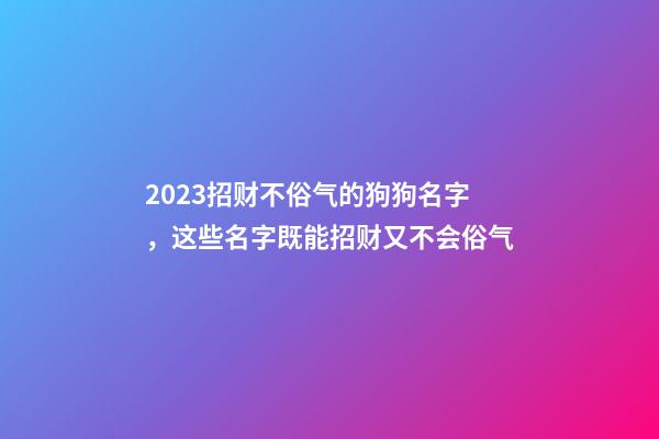 2023招财不俗气的狗狗名字，这些名字既能招财又不会俗气