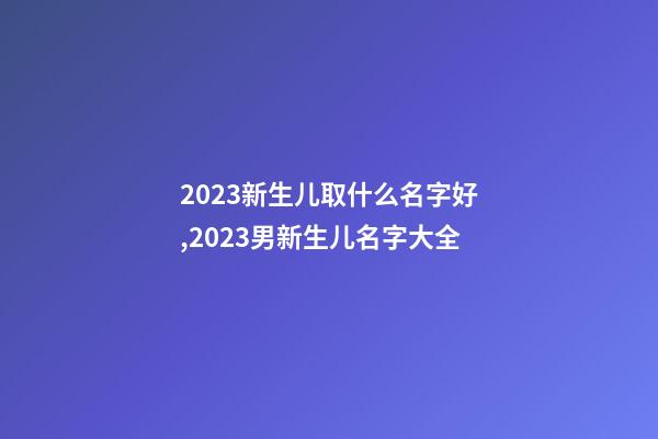 2023新生儿取什么名字好,2023男新生儿名字大全