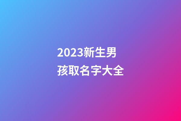 2023新生男孩取名字大全