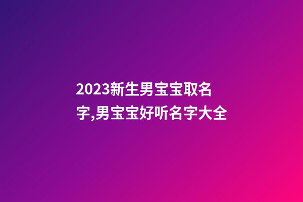 2023新生男宝宝取名字,男宝宝好听名字大全