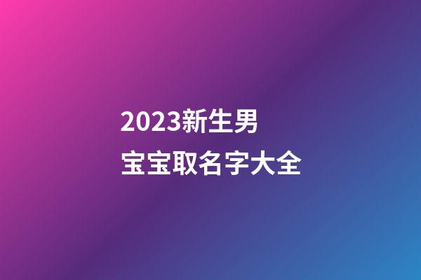 2023新生男宝宝取名字大全