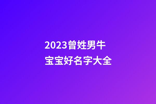 2023曾姓男牛宝宝好名字大全