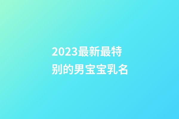 2023最新最特别的男宝宝乳名