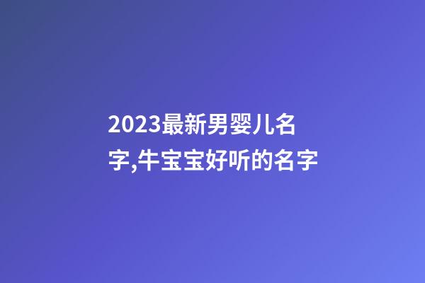 2023最新男婴儿名字,牛宝宝好听的名字