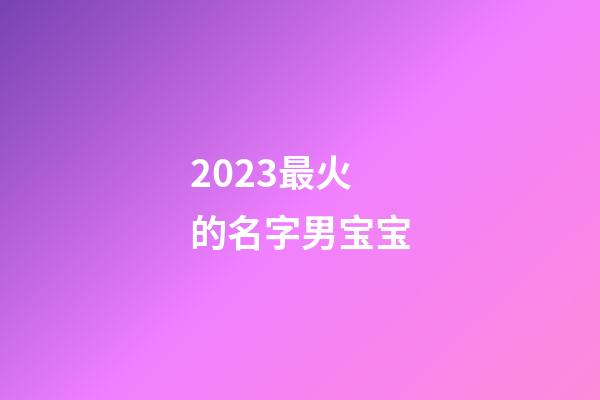 2023最火的名字男宝宝