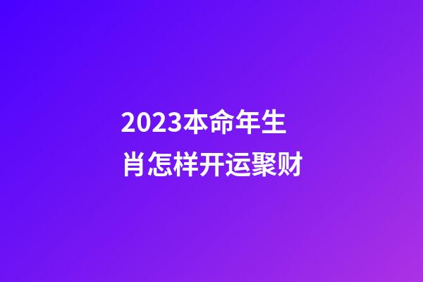 2023本命年生肖怎样开运聚财