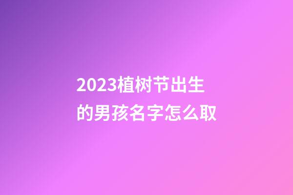 2023植树节出生的男孩名字怎么取