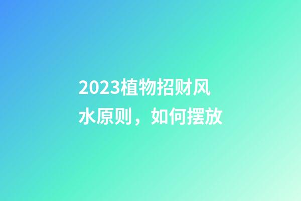 2023植物招财风水原则，如何摆放