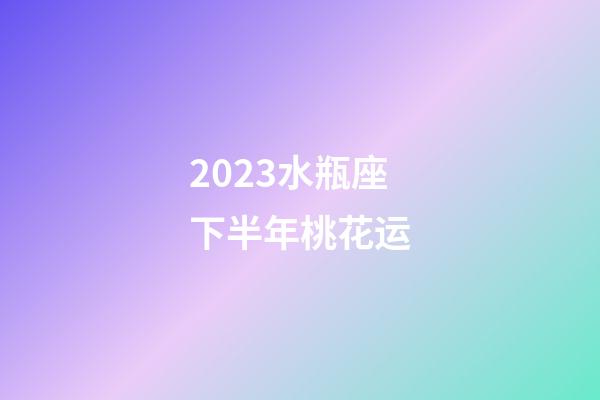 2023水瓶座下半年桃花运-第1张-星座运势-玄机派