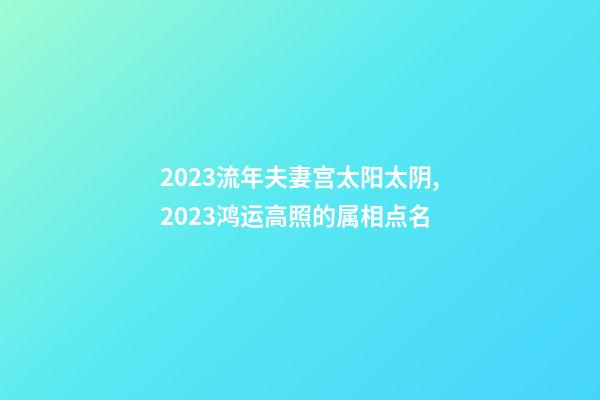 2023流年夫妻宫太阳太阴,2023鸿运高照的属相点名-第1张-观点-玄机派