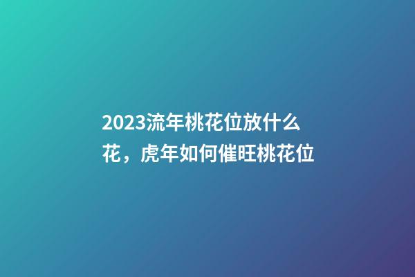 2023流年桃花位放什么花，虎年如何催旺桃花位