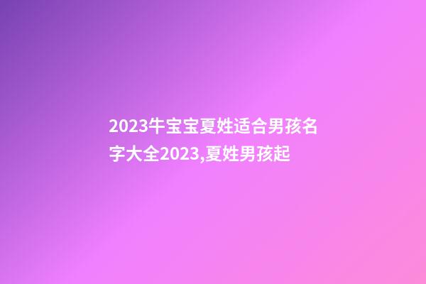 2023牛宝宝夏姓适合男孩名字大全2023,夏姓男孩起