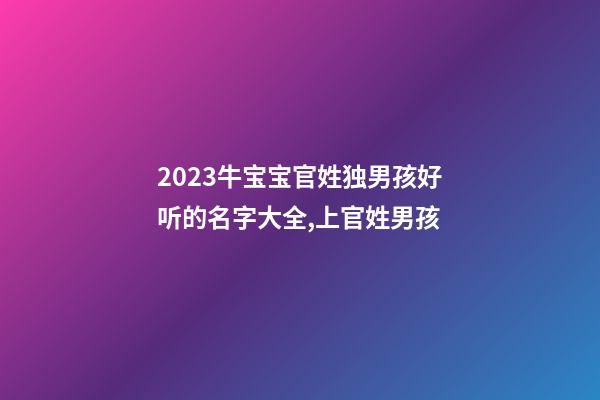 2023牛宝宝官姓独男孩好听的名字大全,上官姓男孩