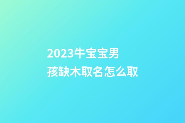 2023牛宝宝男孩缺木取名怎么取