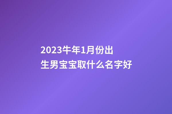 2023牛年1月份出生男宝宝取什么名字好