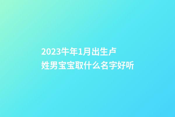 2023牛年1月出生卢姓男宝宝取什么名字好听