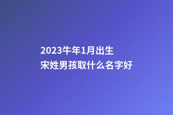 2023牛年1月出生宋姓男孩取什么名字好
