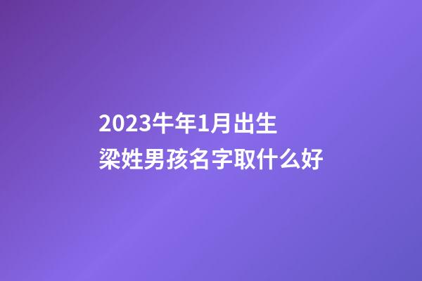 2023牛年1月出生梁姓男孩名字取什么好