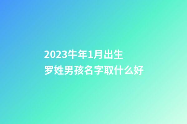 2023牛年1月出生罗姓男孩名字取什么好