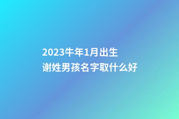 2023牛年1月出生谢姓男孩名字取什么好