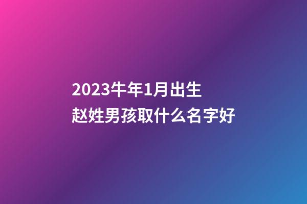 2023牛年1月出生赵姓男孩取什么名字好