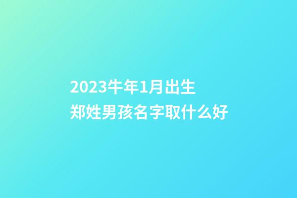 2023牛年1月出生郑姓男孩名字取什么好