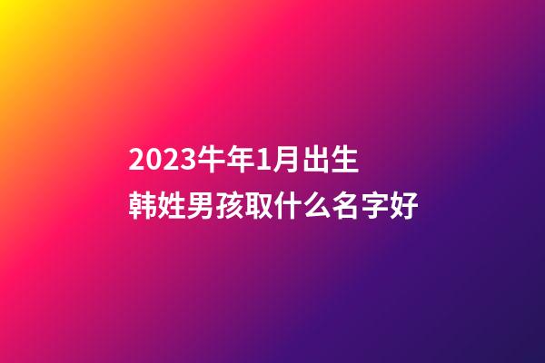 2023牛年1月出生韩姓男孩取什么名字好