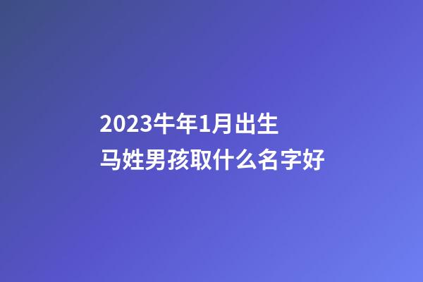 2023牛年1月出生马姓男孩取什么名字好