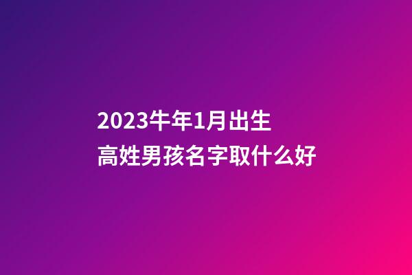 2023牛年1月出生高姓男孩名字取什么好