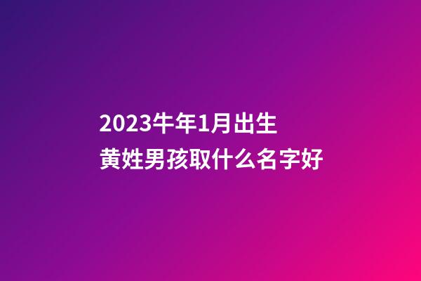 2023牛年1月出生黄姓男孩取什么名字好