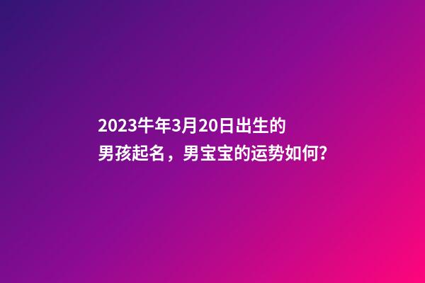 2023牛年3月20日出生的男孩起名，男宝宝的运势如何？