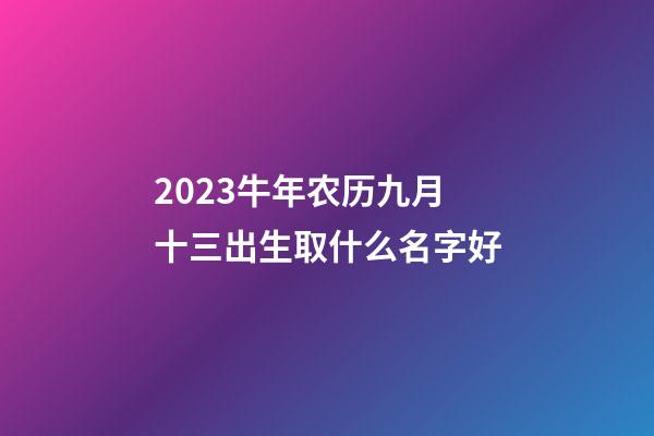 2023牛年农历九月十三出生取什么名字好