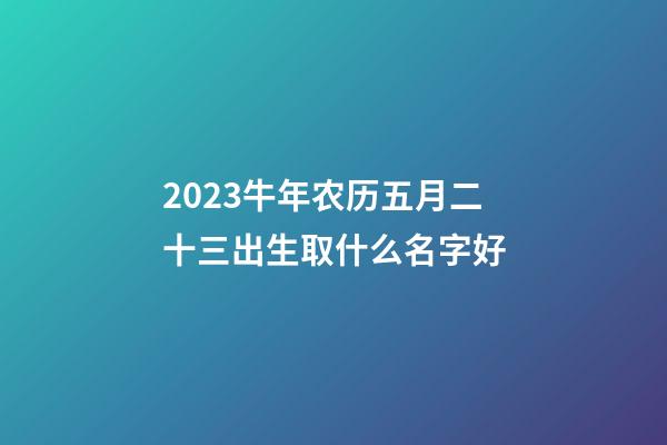 2023牛年农历五月二十三出生取什么名字好