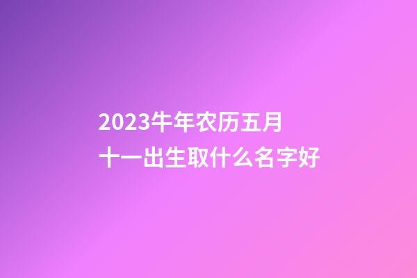 2023牛年农历五月十一出生取什么名字好