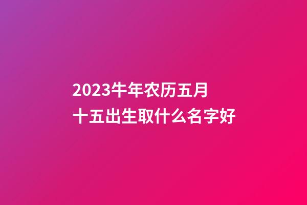 2023牛年农历五月十五出生取什么名字好
