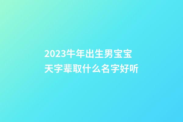 2023牛年出生男宝宝天字辈取什么名字好听