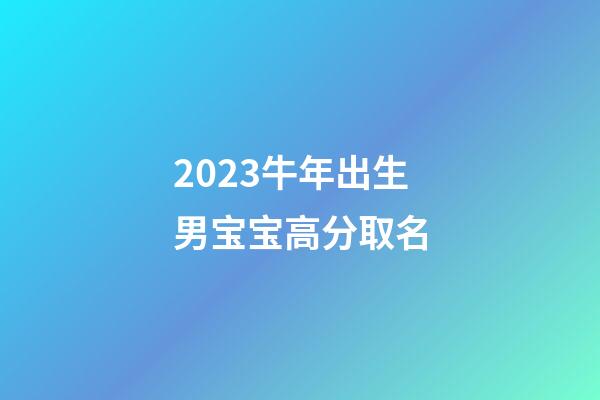 2023牛年出生男宝宝高分取名