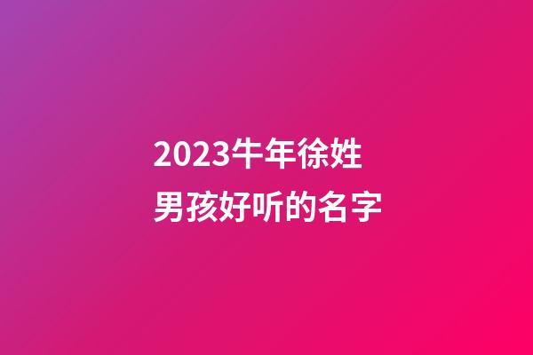 2023牛年徐姓男孩好听的名字