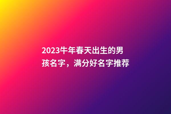 2023牛年春天出生的男孩名字，满分好名字推荐