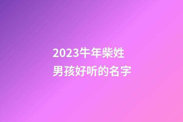 2023牛年柴姓男孩好听的名字