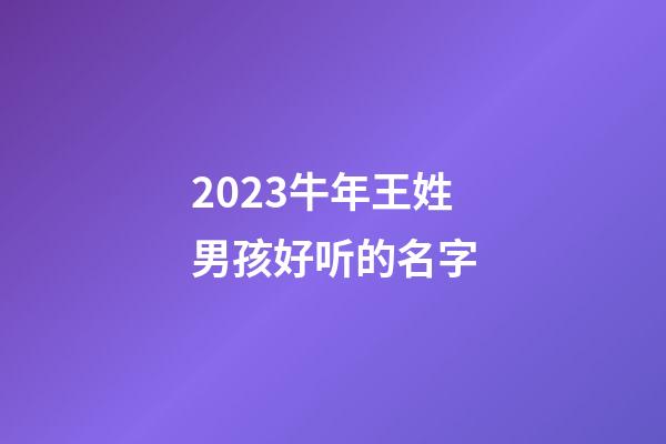 2023牛年王姓男孩好听的名字