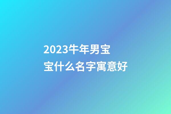 2023牛年男宝宝什么名字寓意好