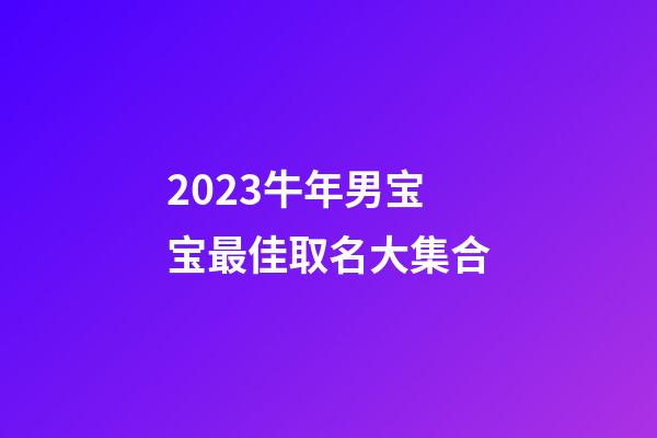 2023牛年男宝宝最佳取名大集合