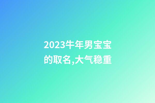 2023牛年男宝宝的取名,大气稳重