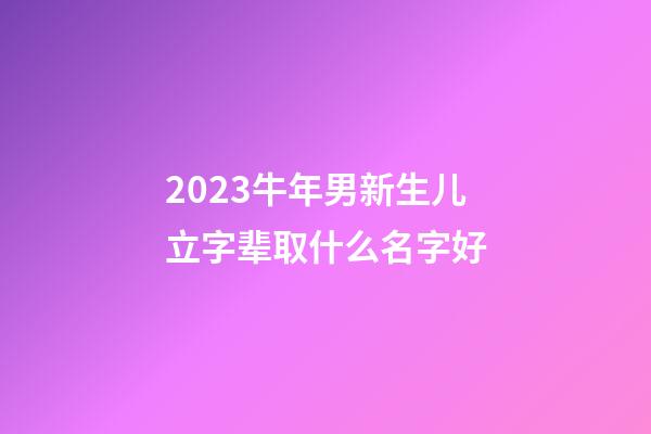2023牛年男新生儿立字辈取什么名字好