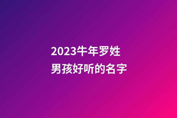 2023牛年罗姓男孩好听的名字