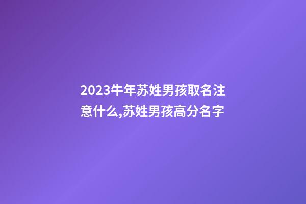 2023牛年苏姓男孩取名注意什么,苏姓男孩高分名字
