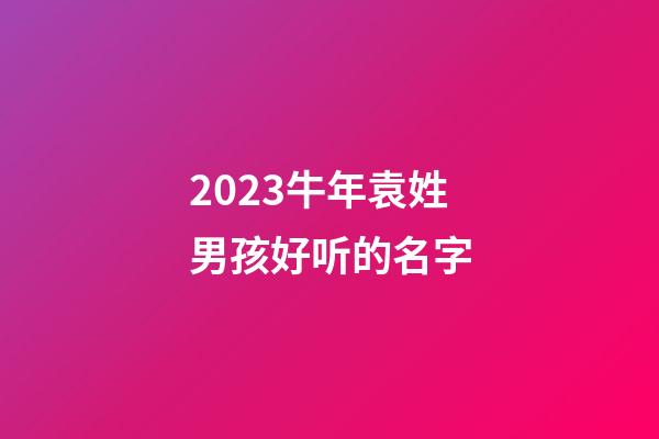 2023牛年袁姓男孩好听的名字