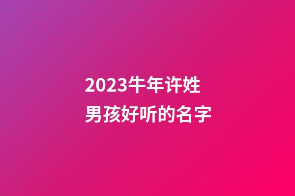 2023牛年许姓男孩好听的名字